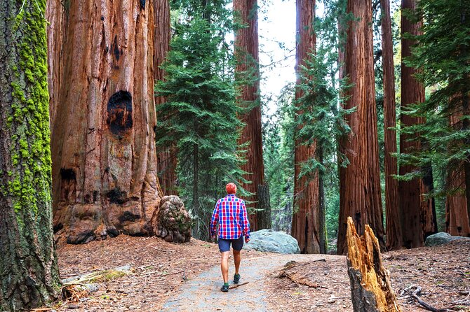Yosemite National Park 2-Day Tour from San Francisco with Lodging - The ride back and what the price includes