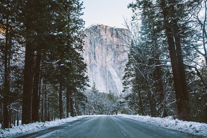 Yosemite National Park 2-Day Winter Tour from San Francisco - From San Francisco to the Sierra foothills