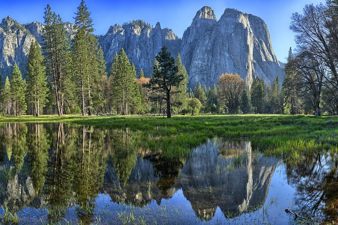 Yosemite National Park: Full Day Tour from San Francisco - What the guides add to the long drive